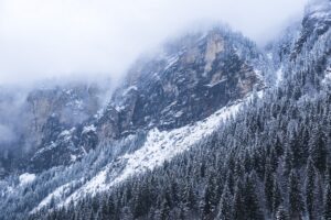 Blog 5 immobilier les gets