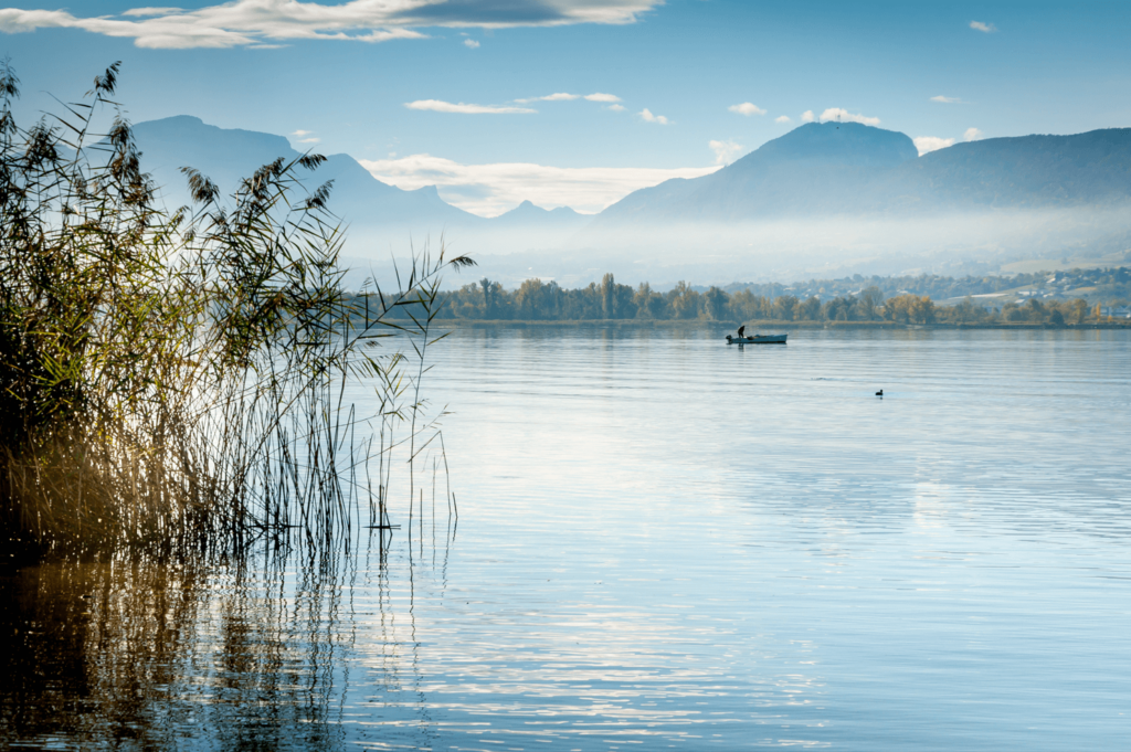 lzmotte lac.png